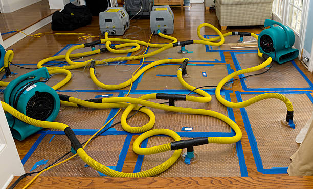 Professional Sewage Cleanup technician working in Gorman, NC